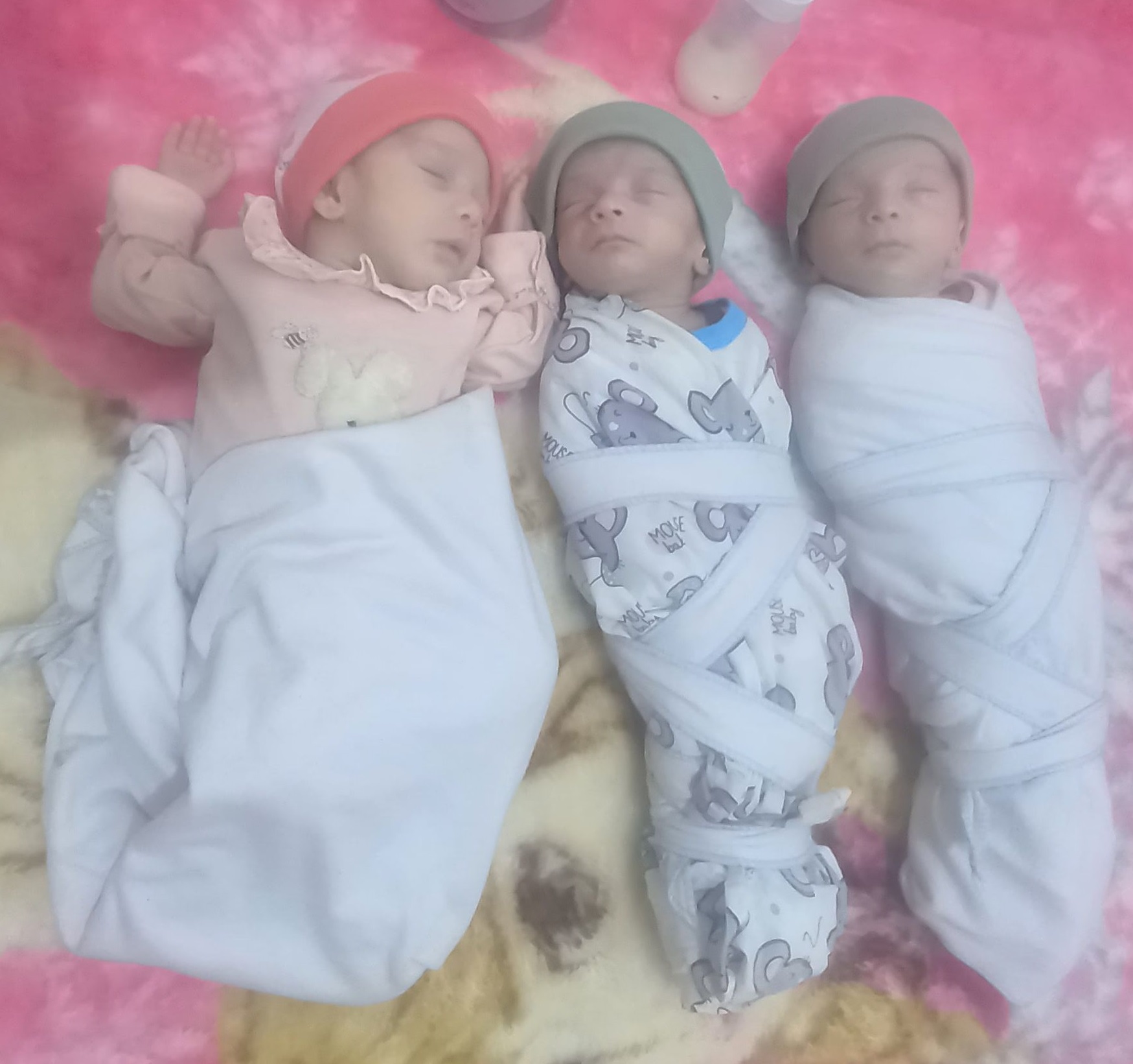 استادممزائی 