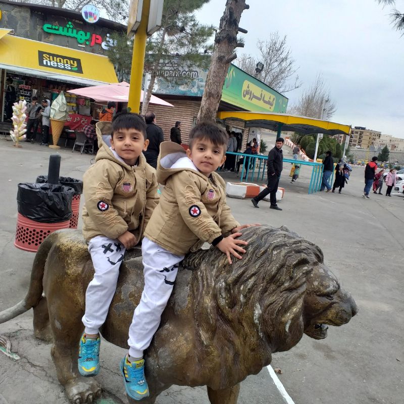 فضائلی