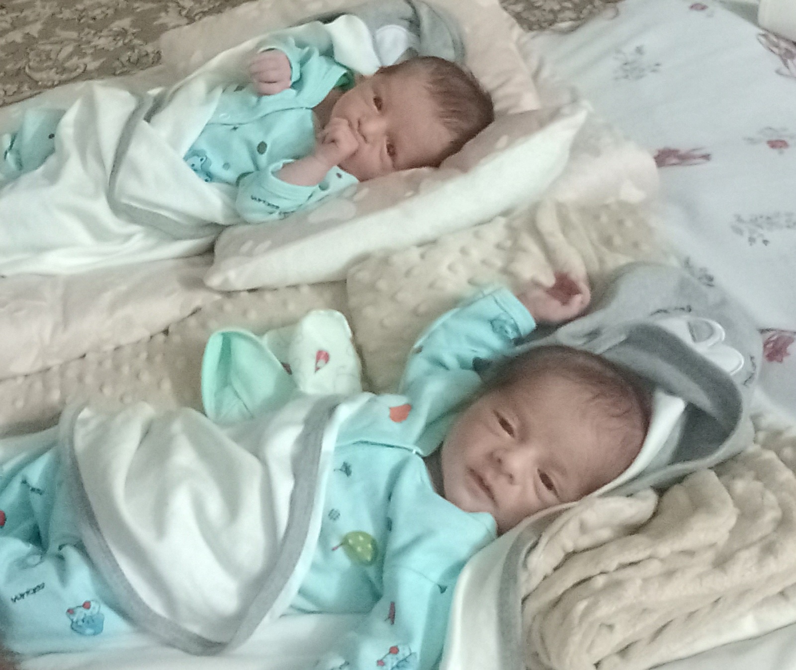 ملکشاهی