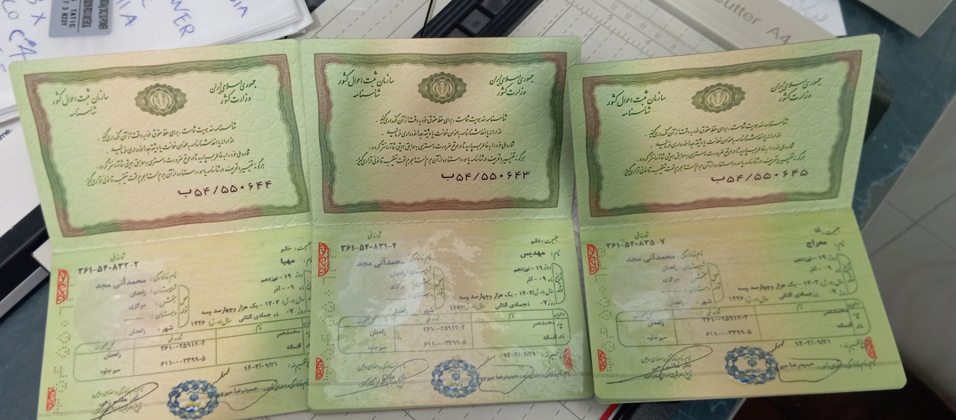 محمد آنی مجد