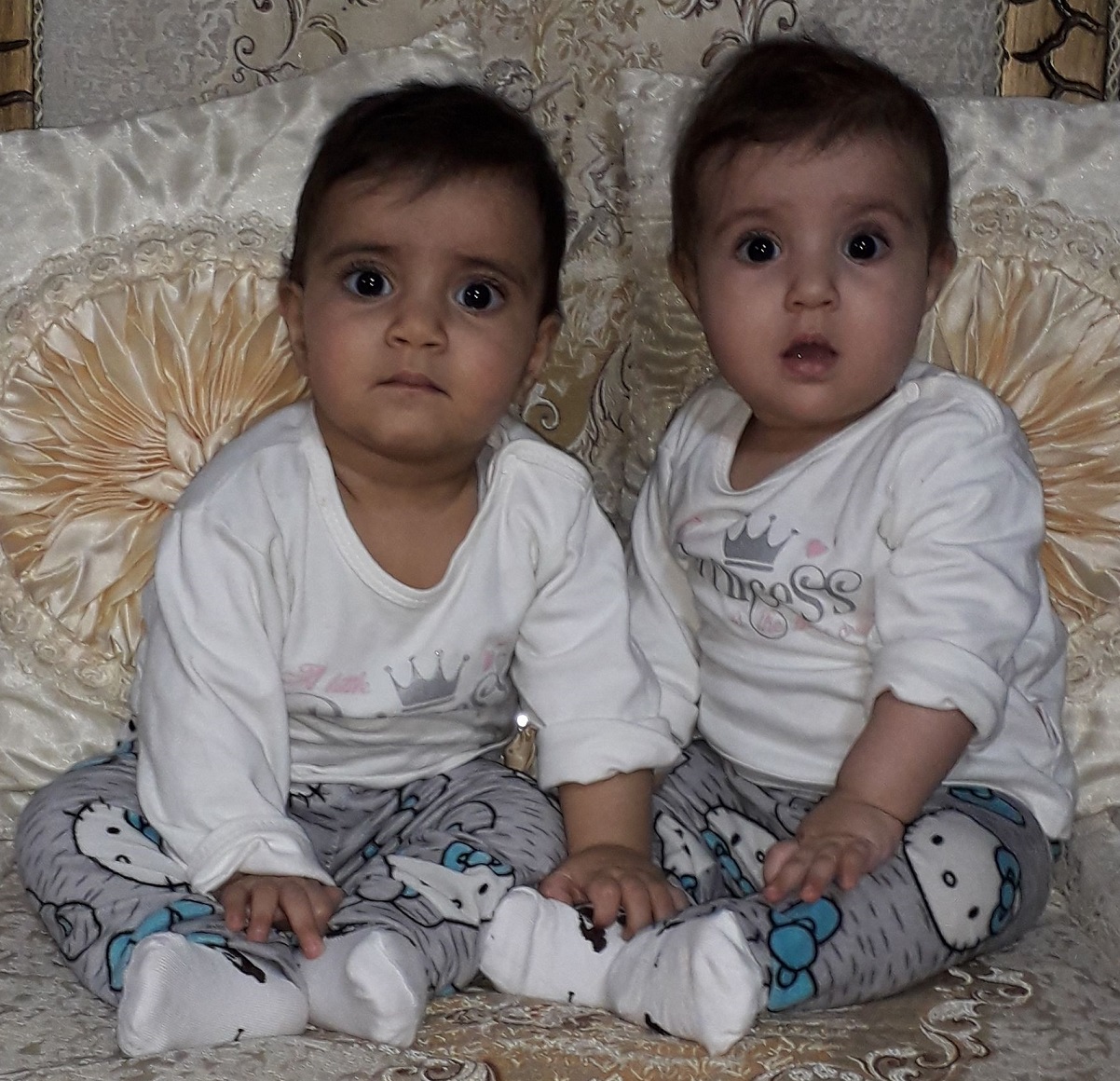 مهدوی لنجی