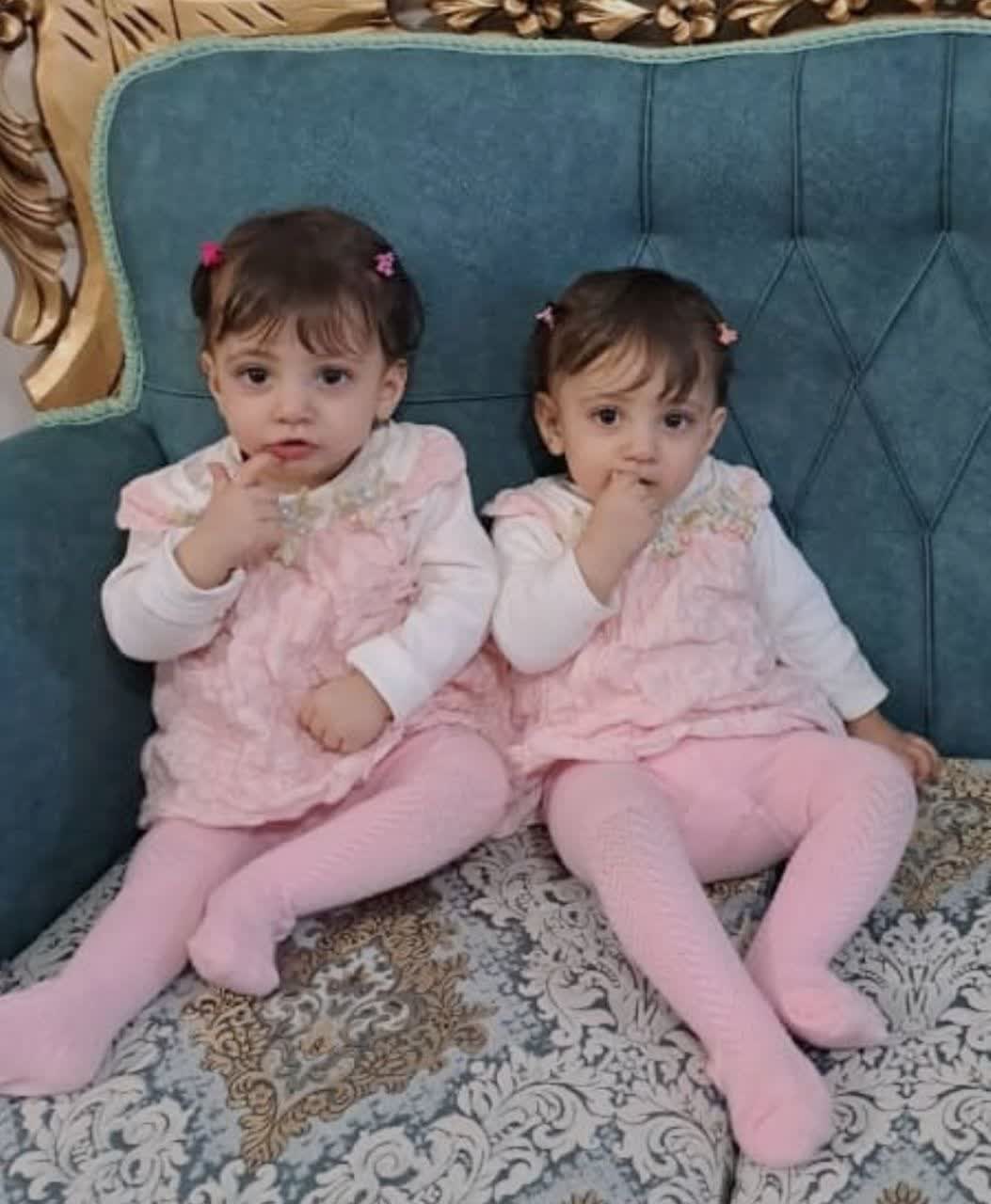 محمدی