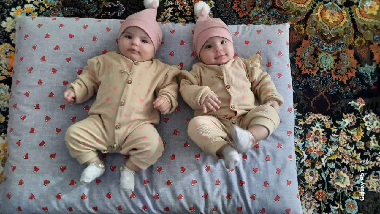 مالمیر