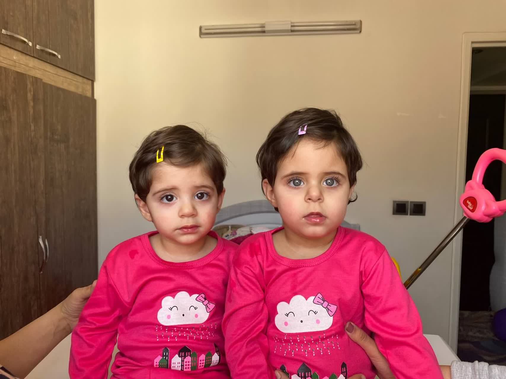 نفیسی