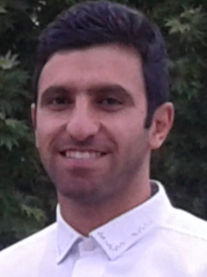 حسن بیربیک درویشوند