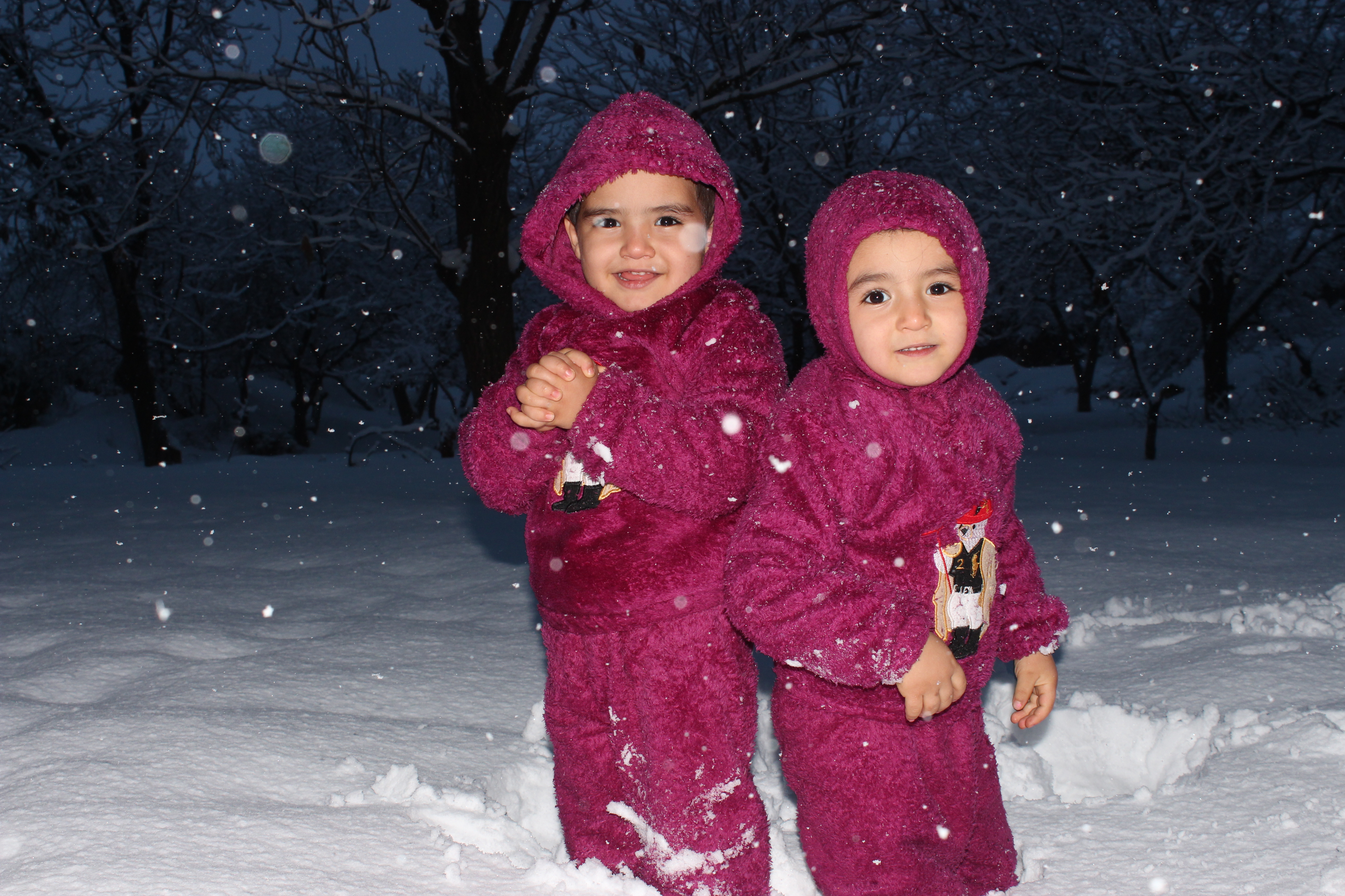 آریا جهانگیری