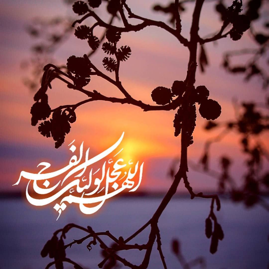 بهرام نژاد