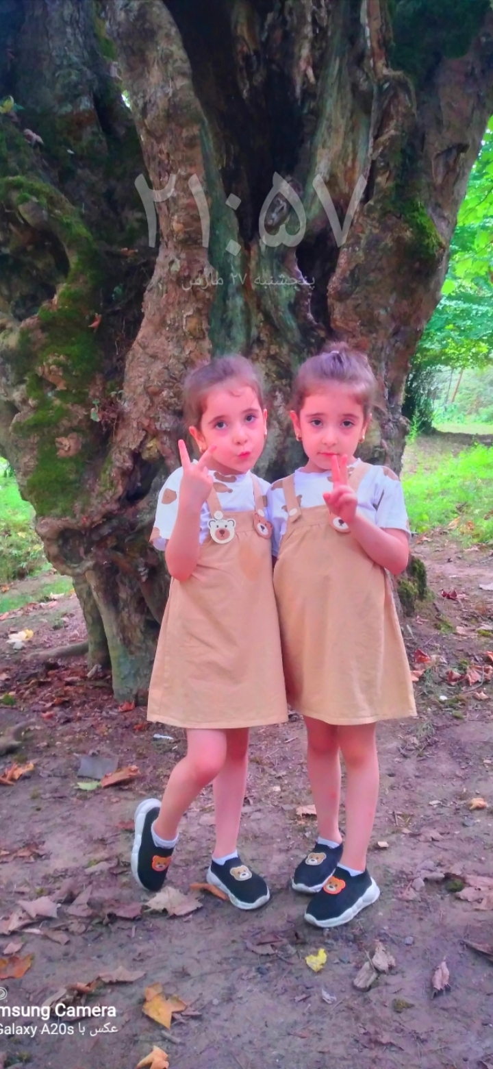 آوینا سادات حسینی