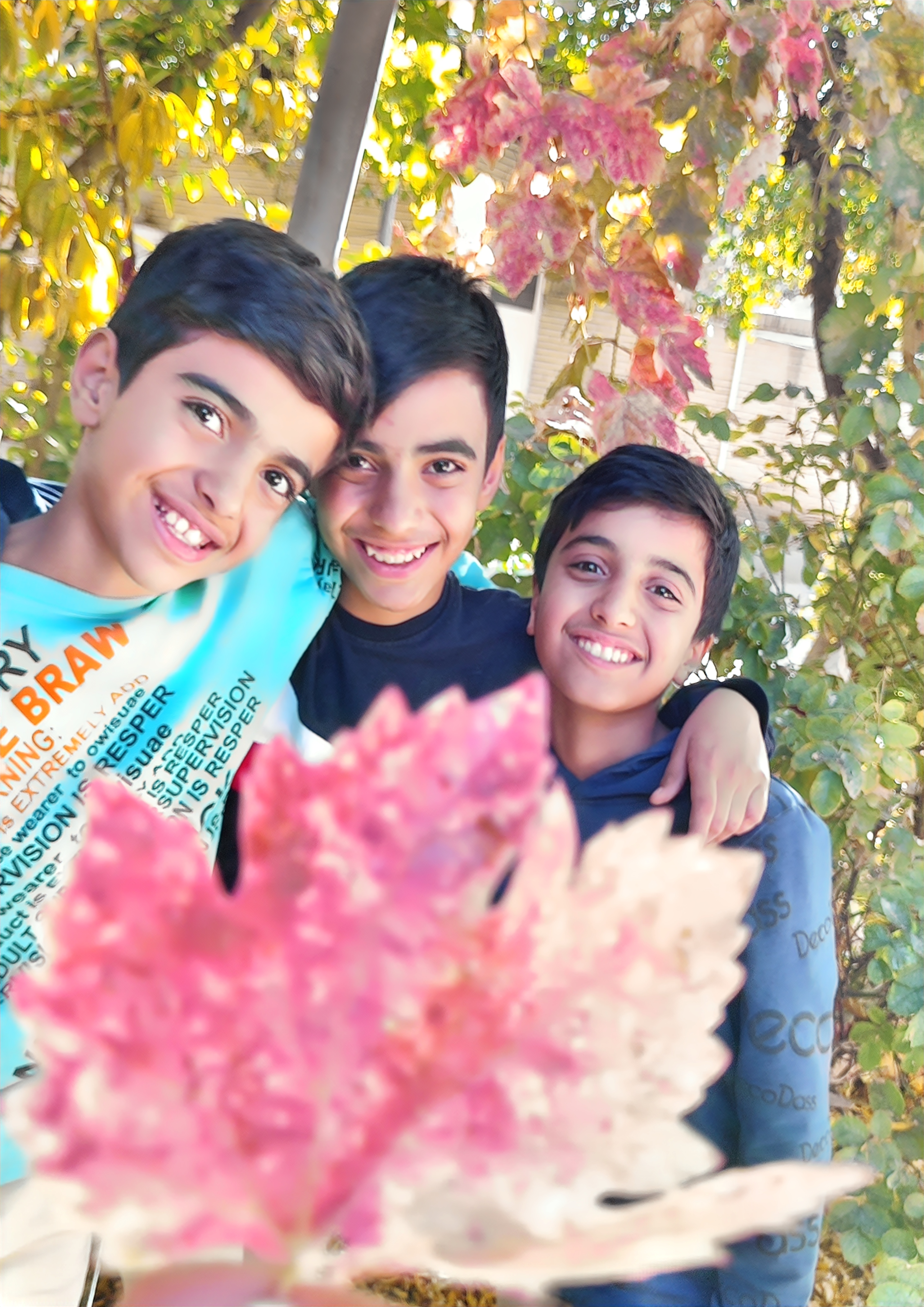 حسنی کبوترخانی