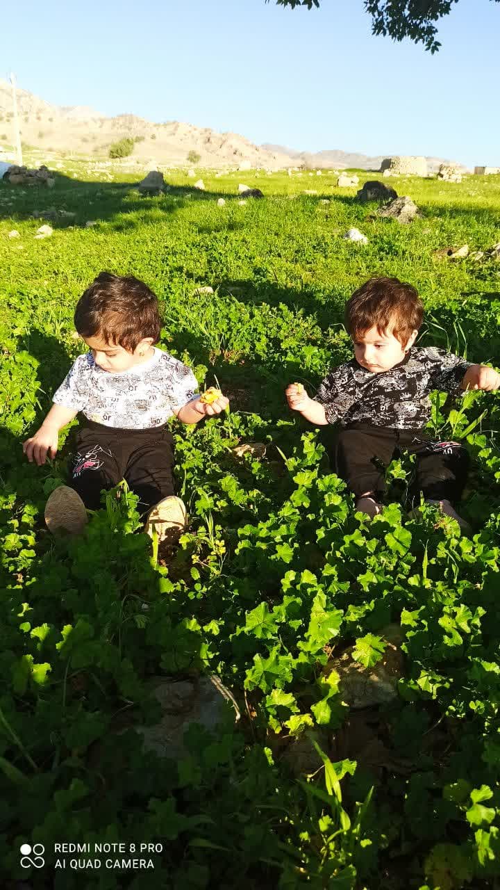 رضایی مهر