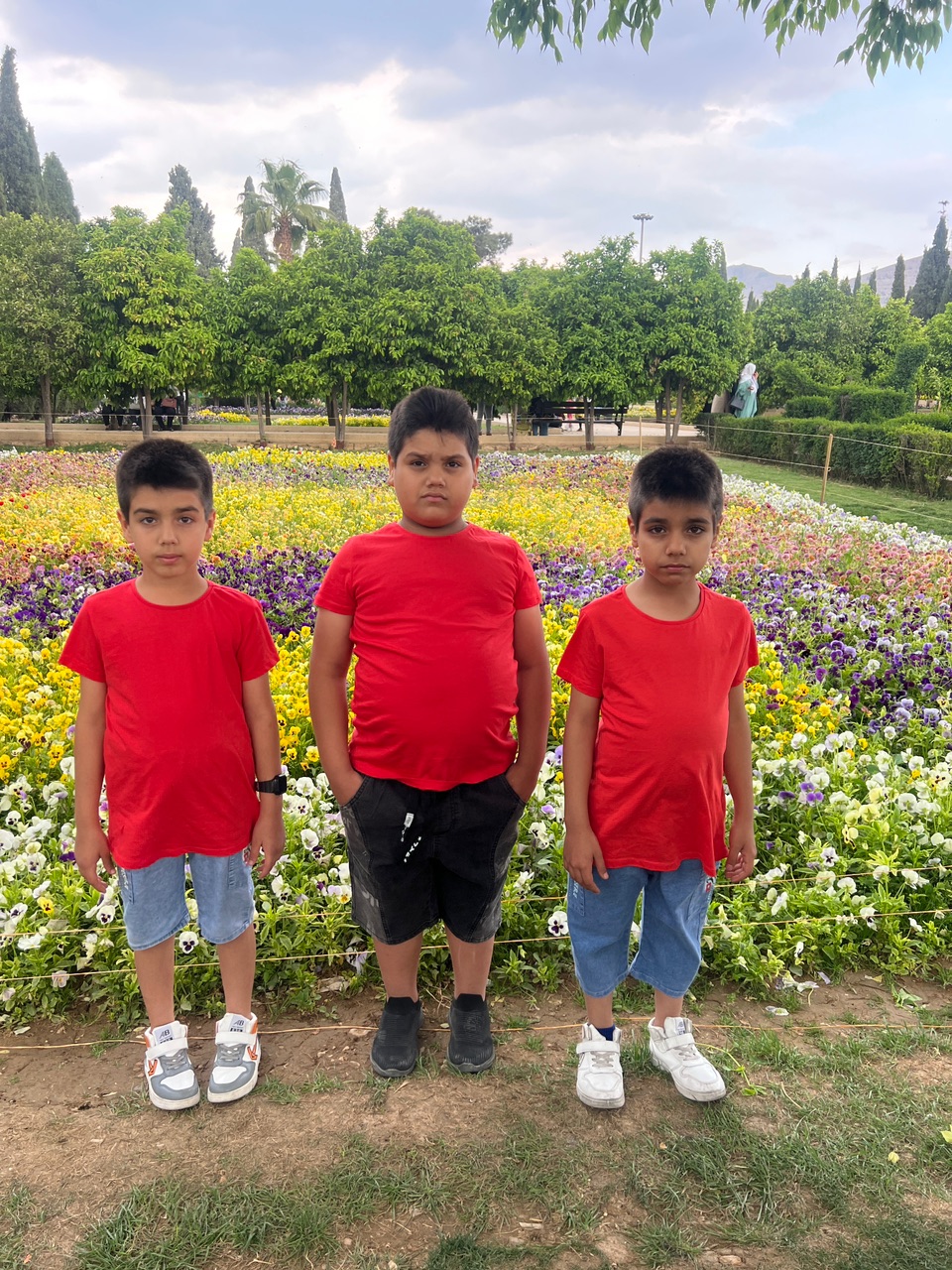 کورکی نژاد قرائی