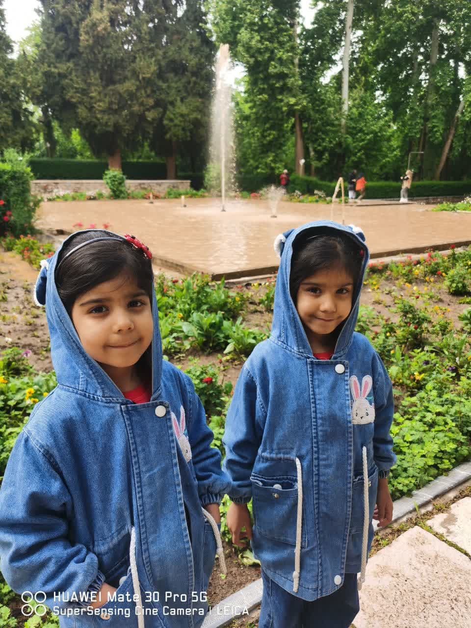 سلیمانی